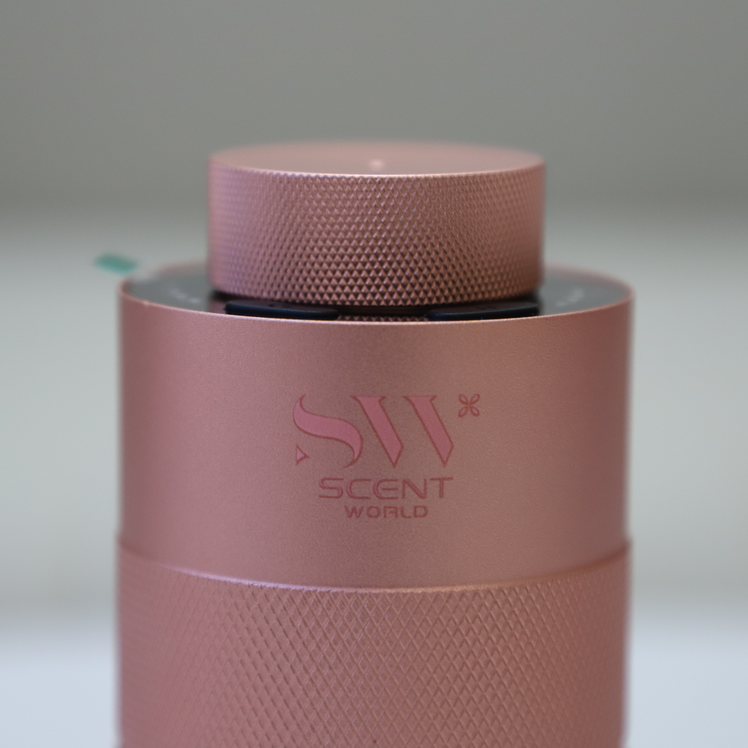 Car Scent Diffuser_2