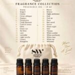 Scent World Fragrance Oil Sampling Bag – Minimum 3 × 10ml Bottles - Image 6